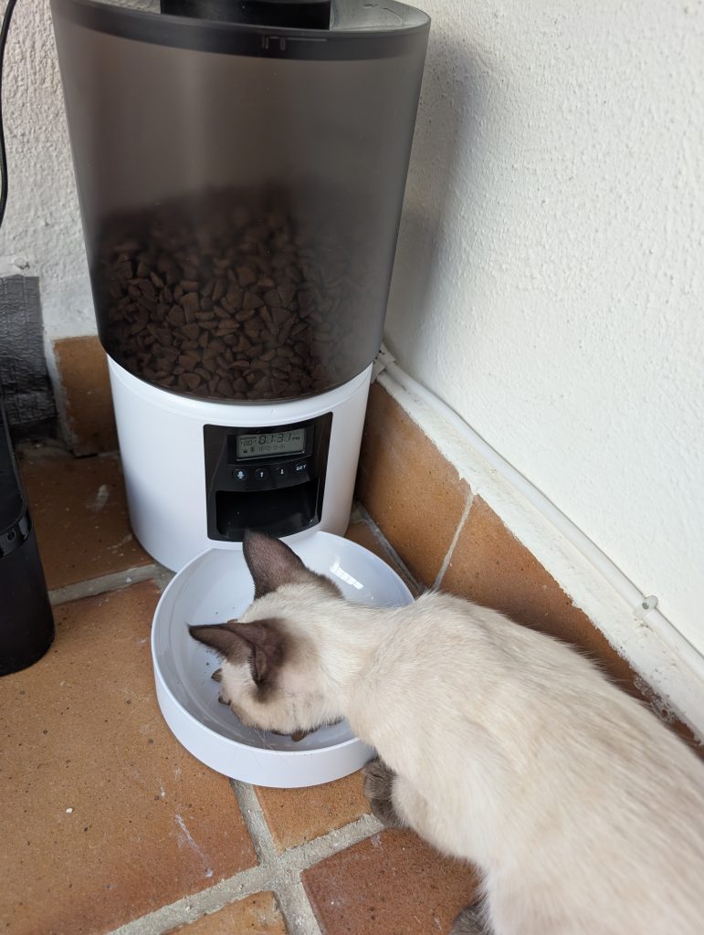 comedero automatico gato