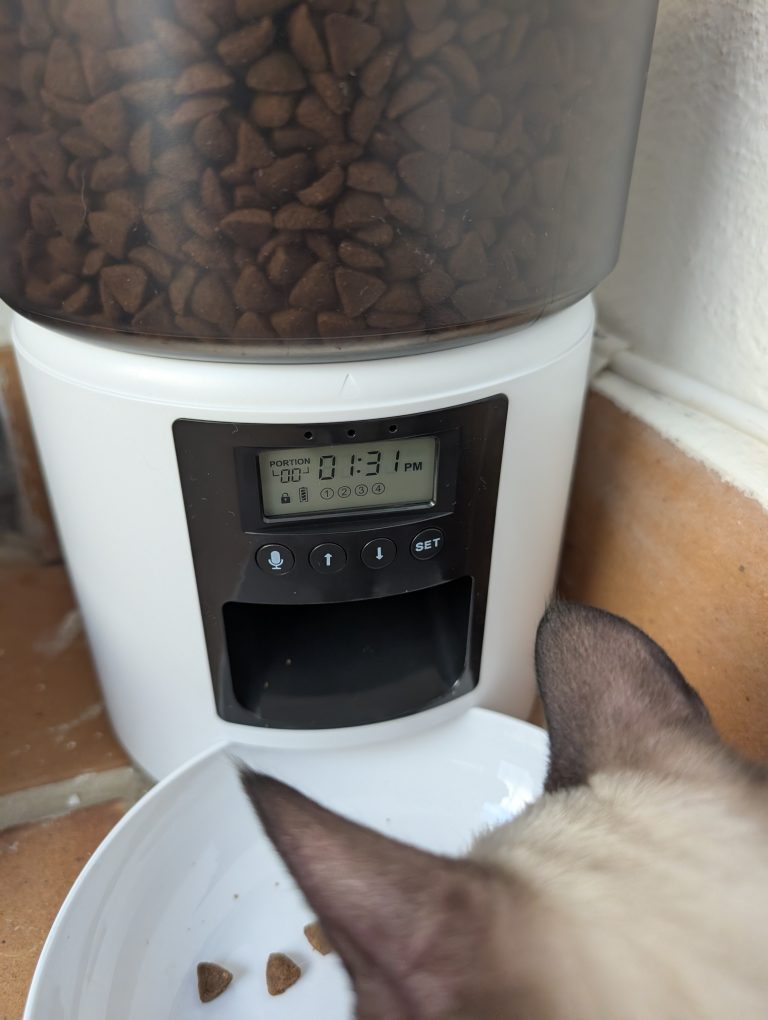 comedero automatico gato