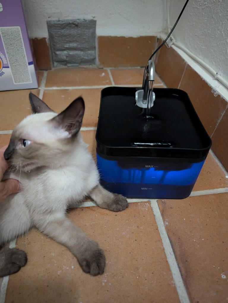 Fuente de agua para gatos PawPoll 2,2L